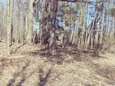 Schott Road, Harbor Beach, MI 48441