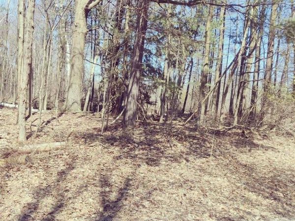 Schott Road, Harbor Beach, MI 48441