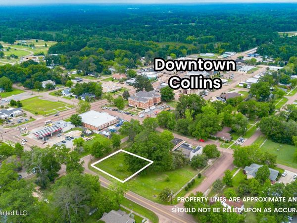 200 S Fir Avenue, Collins, MS 39428