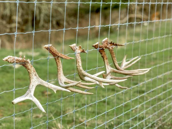 0 Fishing Ford Rd, Belfast, TN 37019