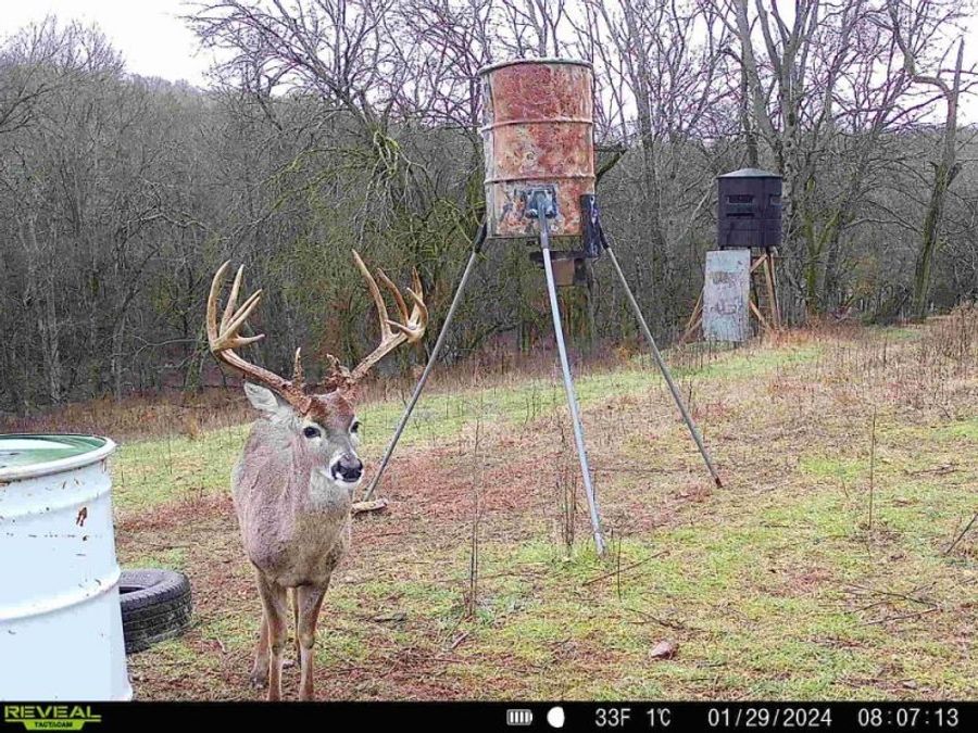 Property Image 7
