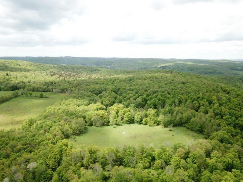 0 Dubois, Livingston Manor, NY 12758 Main Photo