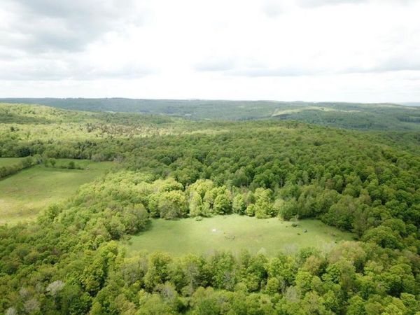 0 Dubois, Livingston Manor, NY 12758