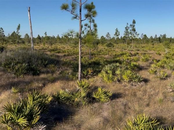 HOLOPAW GROVES ROAD, ST CLOUD, FL 34773