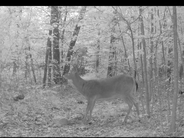 22903 Waterwheel Drive, Pierson, MI 49339