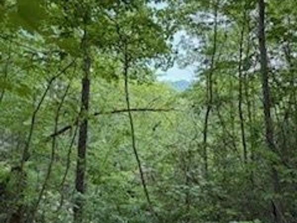 LOT SM4 Raven Fork Trail, Dillard, GA 30537