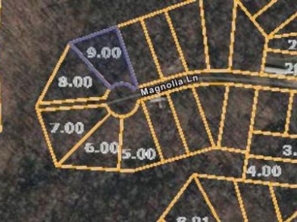 000 Magnolia Ln, Holladay, TN 38341