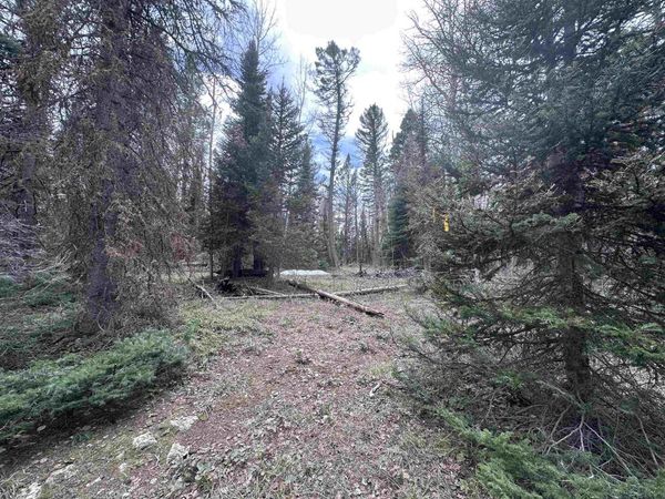 766 Crest Drive , Cimarron, CO 81220