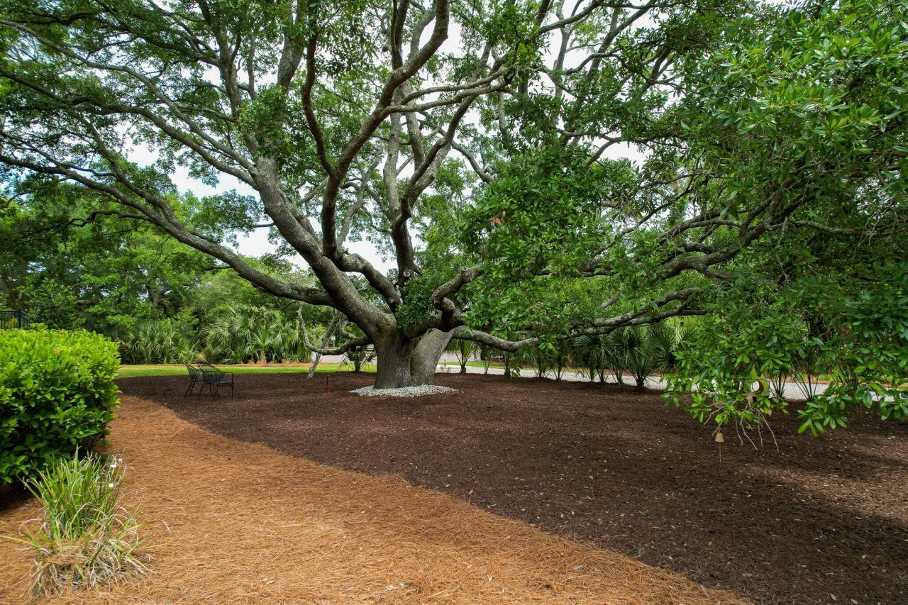 2213 Rolling Dune Road Photo 83