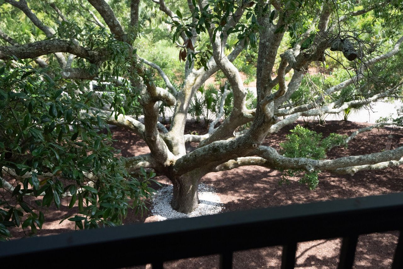 2213 Rolling Dune Road Photo 96