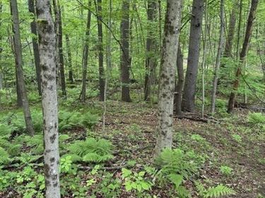 0 South Royalston Rd, Royalston, MA 01368