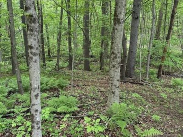 0 South Royalston Rd, Royalston, MA 01368