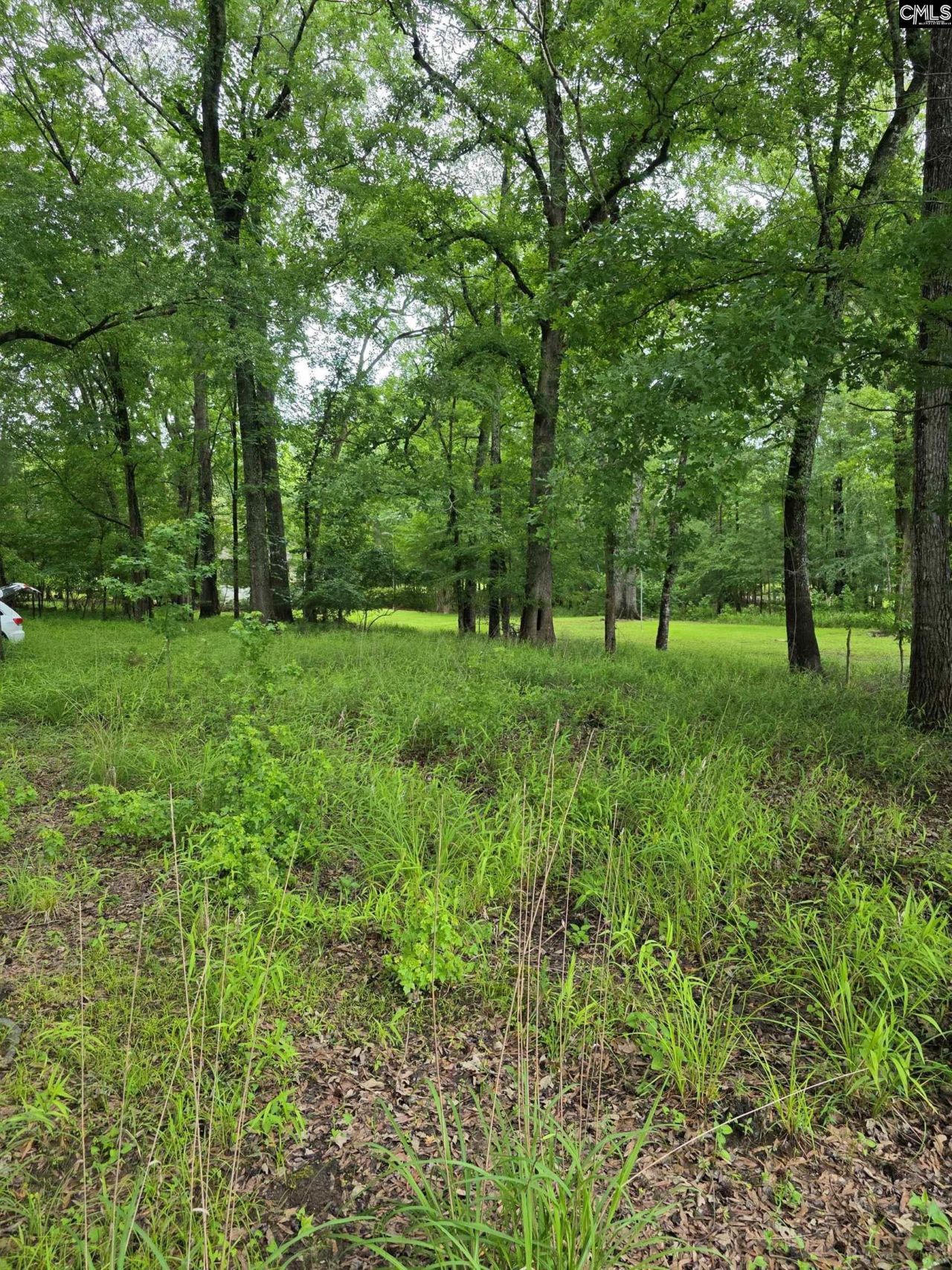 1595 Wateree Estates Road Photo 6