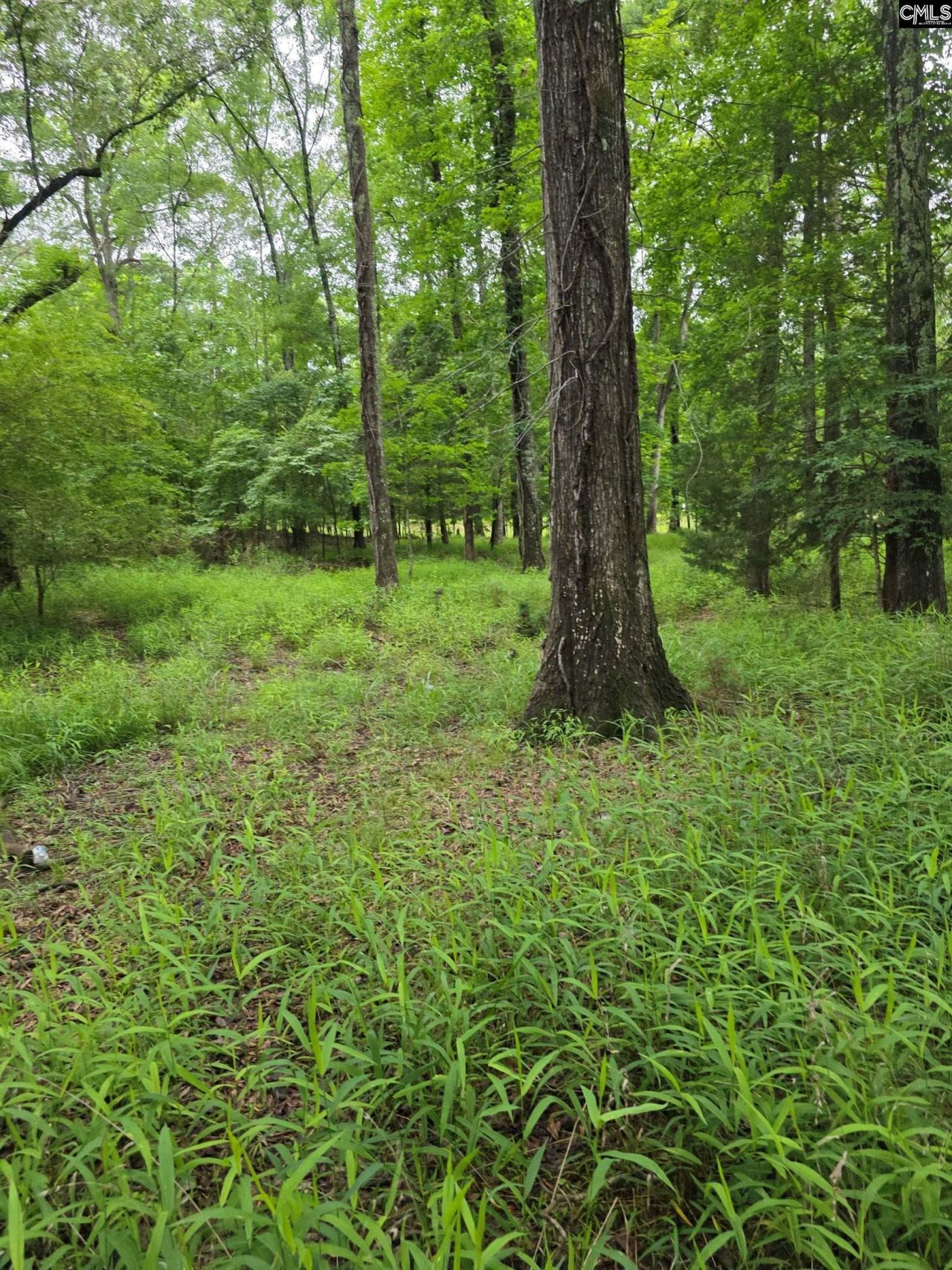 1595 Wateree Estates Road Photo 7