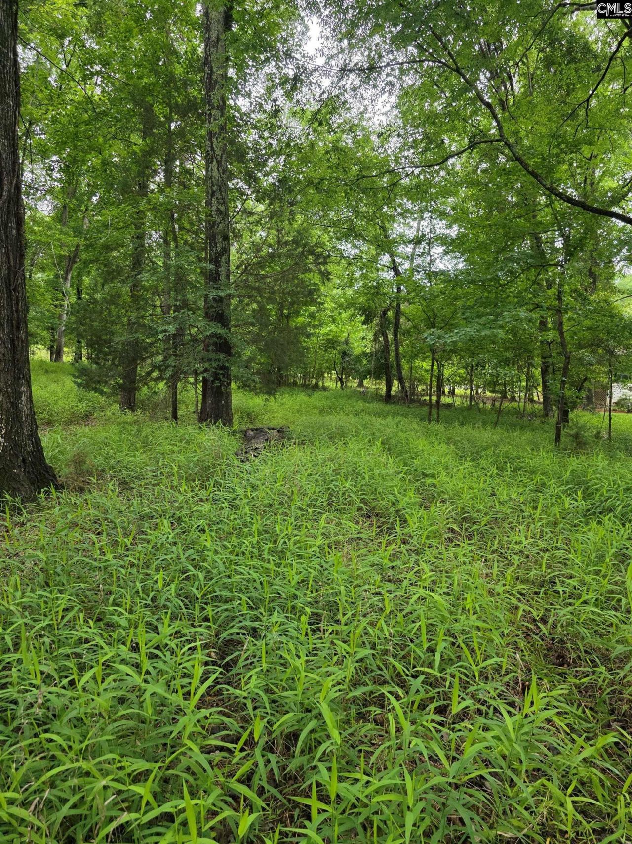 1595 Wateree Estates Road Photo 8