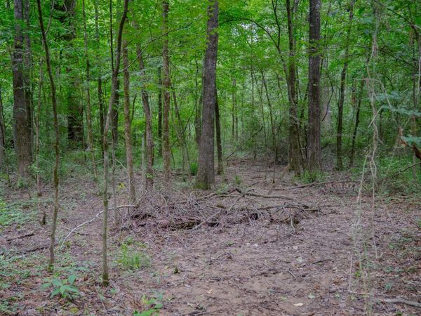 Oooo Big Creek Road, Byram, MS 39272