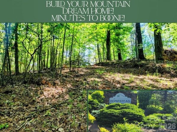 TBD Lucky Leaf Lane, Vilas, NC 28692