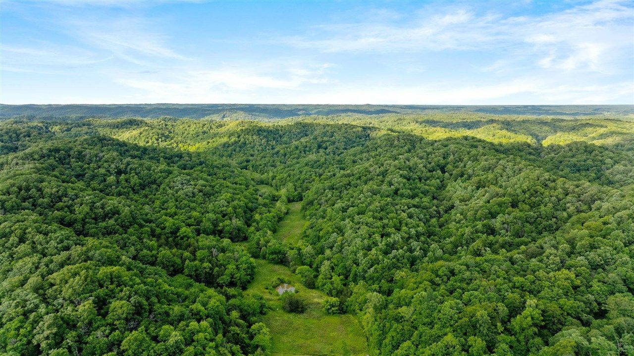 0 Black Branch Road, Burkesville, KY 42717 Main Photo