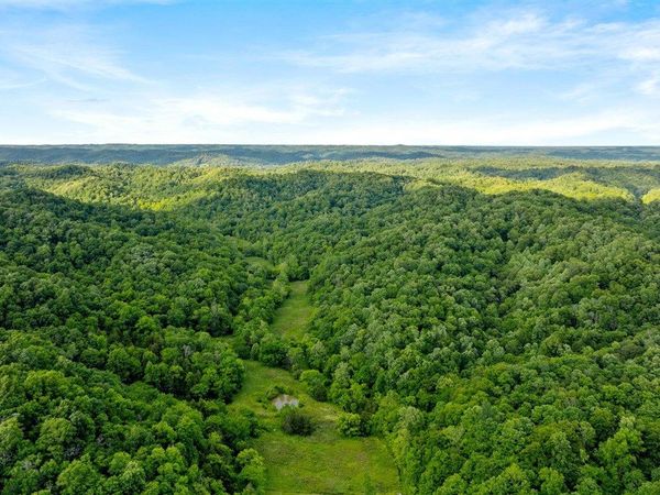 0 Black Branch Road, Burkesville, KY 42717