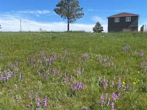 13435 Hodgen Road, Elbert, CO 80106