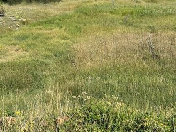 S First Street, Cripple Creek, CO 80813