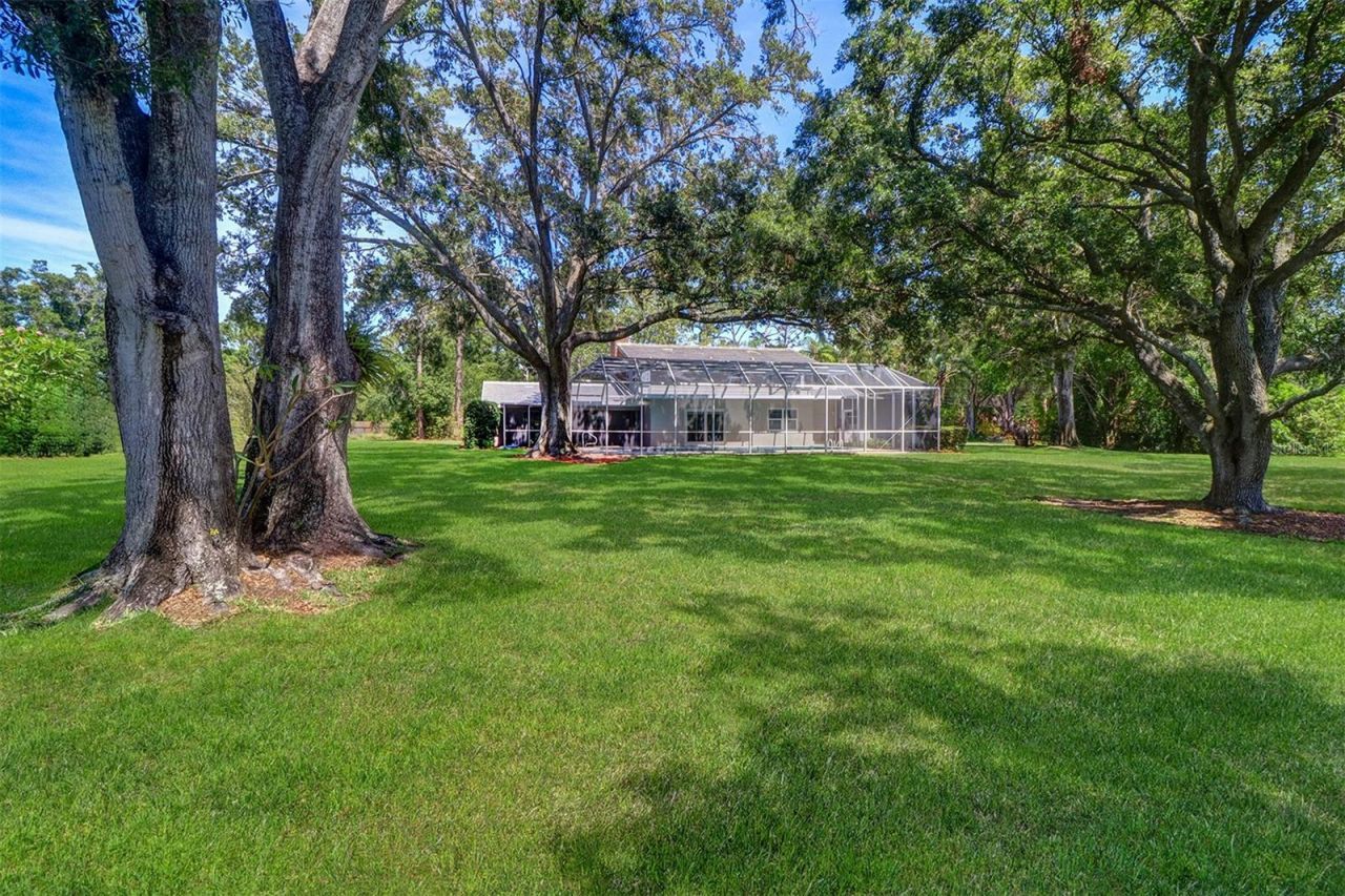 1670 Fox Road, Clearwater, FL 33764 Photo