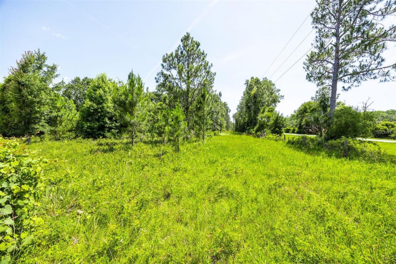 00, Chiefland, FL 32626 Photo