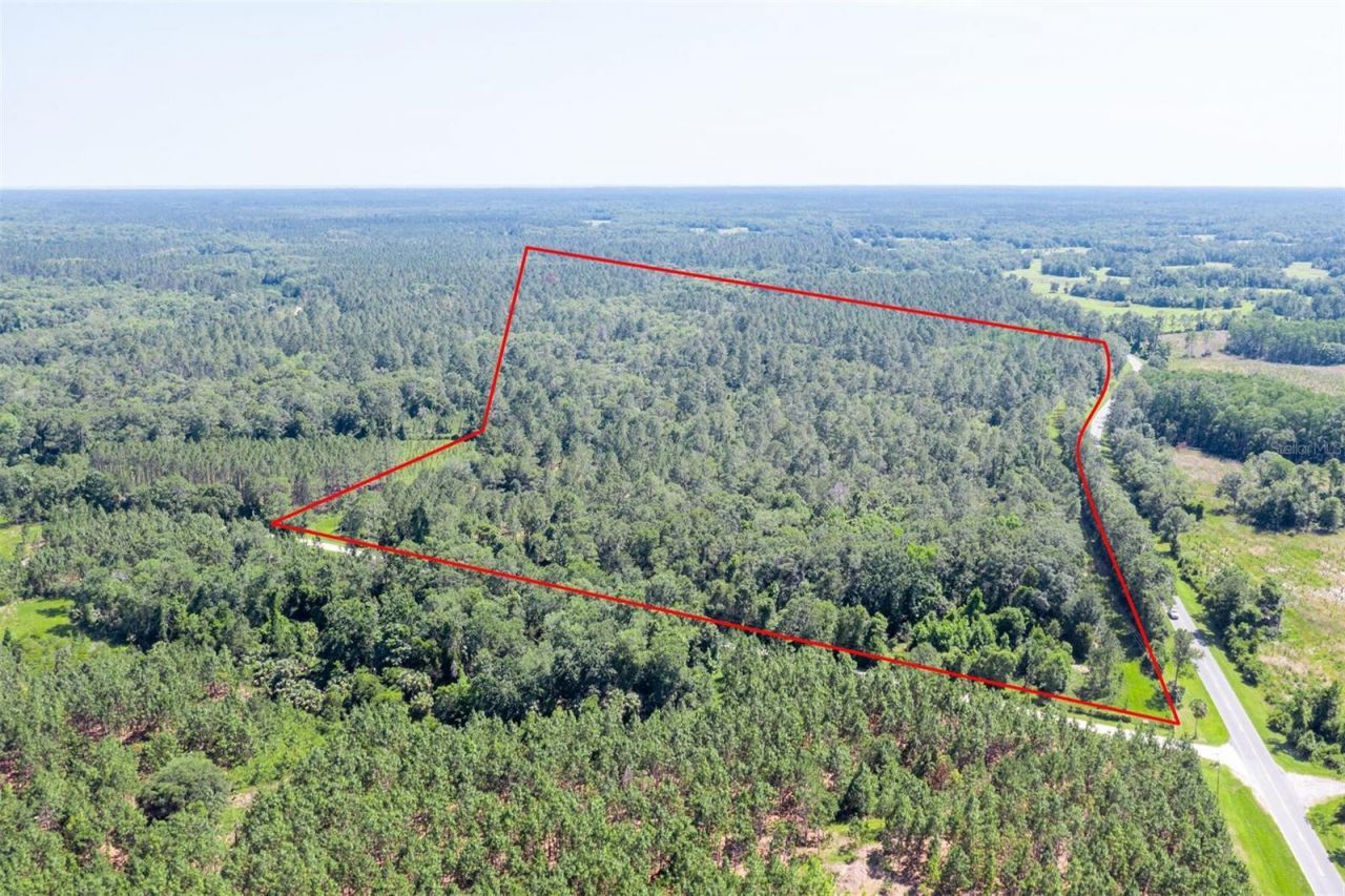 00, Chiefland, FL 32626 Photo