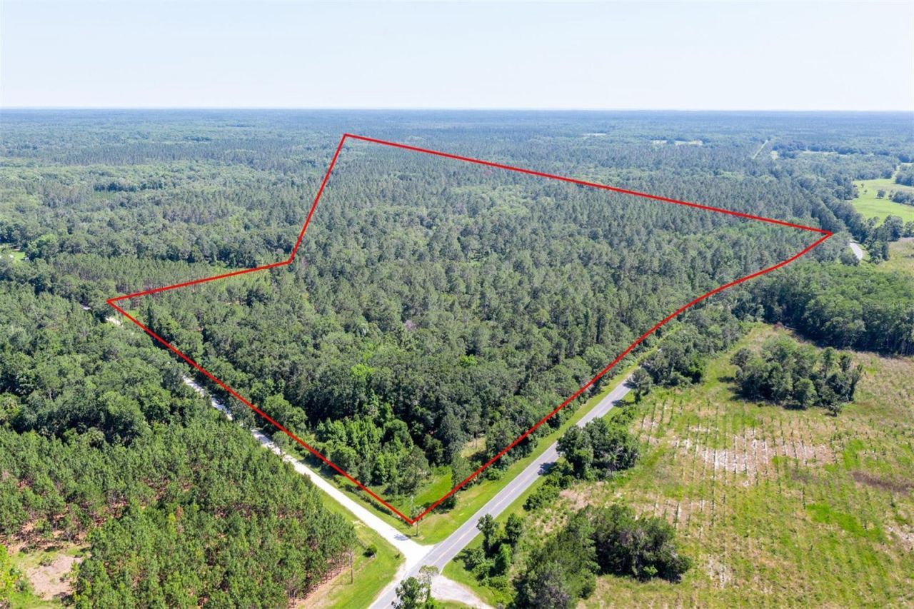 00, Chiefland, FL 32626 Photo