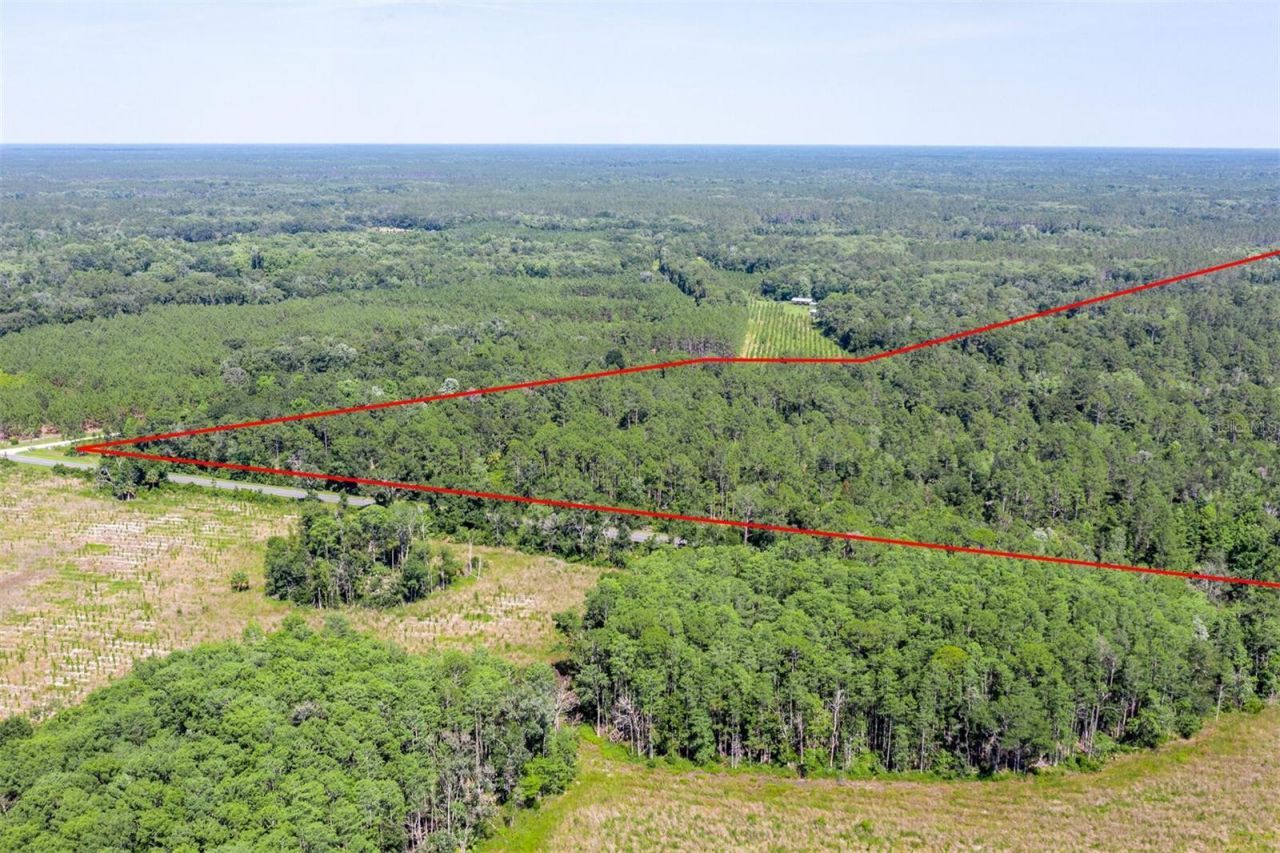 00, Chiefland, FL 32626 Photo