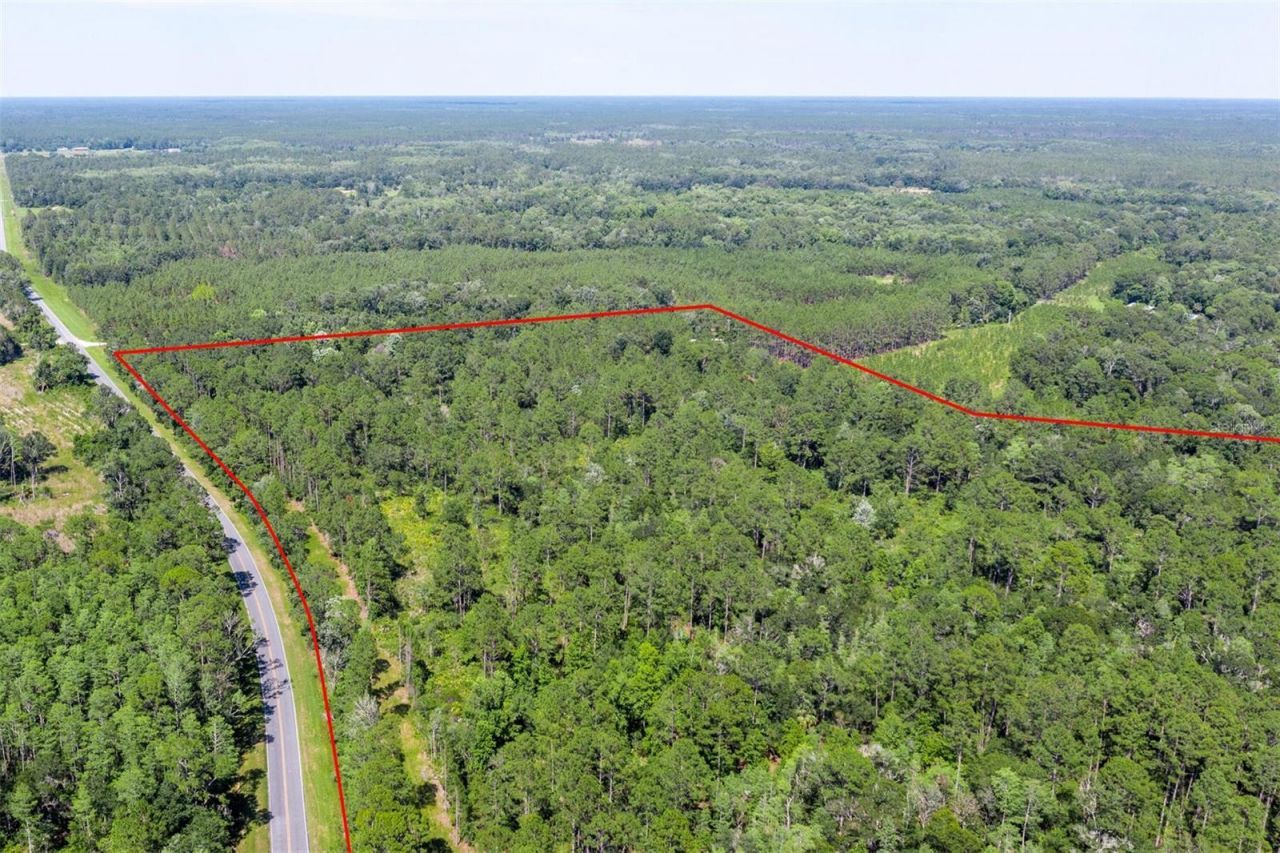 00, Chiefland, FL 32626 Photo