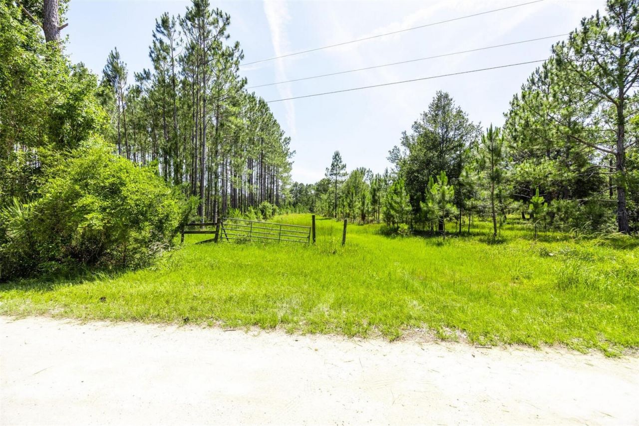 00, Chiefland, FL 32626 Photo