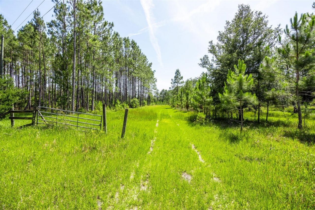 00, Chiefland, FL 32626 Photo