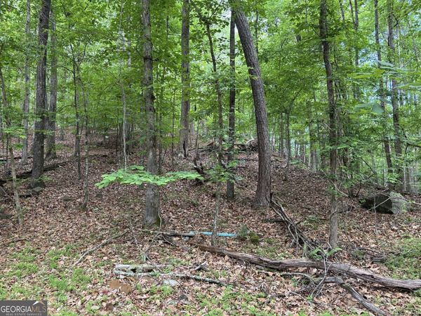 0 Harrison Drive, Lithia Springs, GA 30122