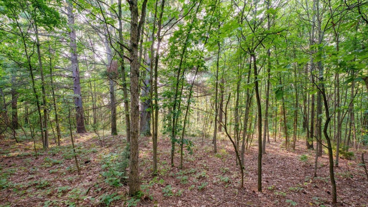 0 158th Avenue, West Olive, MI 49460 Main Photo