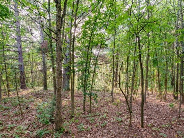 0 158th Avenue, West Olive, MI 49460