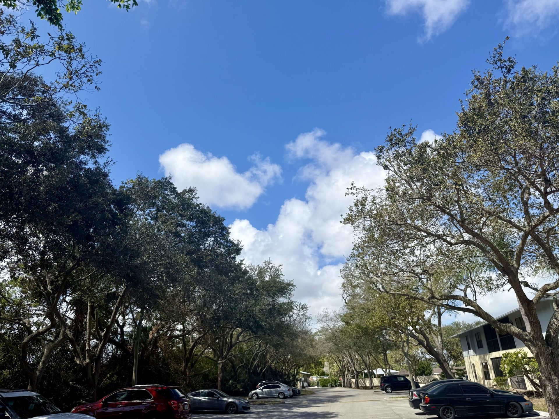 6537 SE Federal Highway, Unit 202, Stuart, FL 34997 Photo