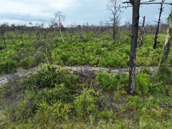 3520 MARIANA AVENUE, LAKE PLACID, FL 33852