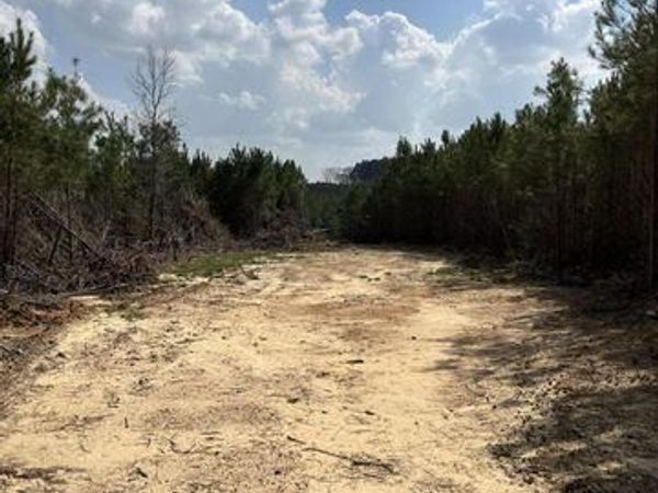 0 Honeysucker Road, Camden, MS 39045