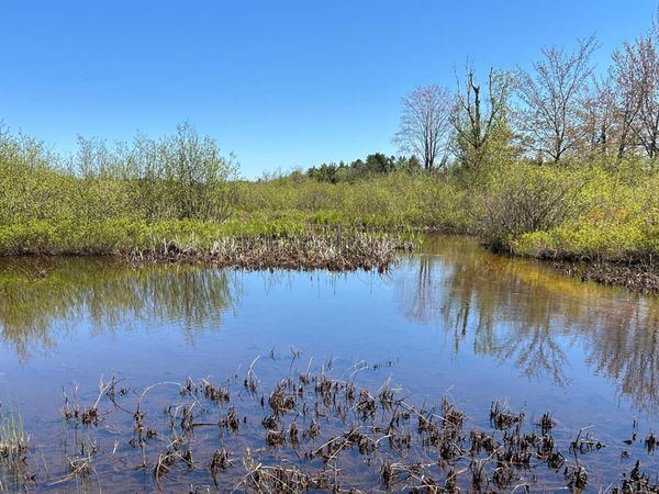 Lot 40 S River Run, Trout Lake, MI 49793