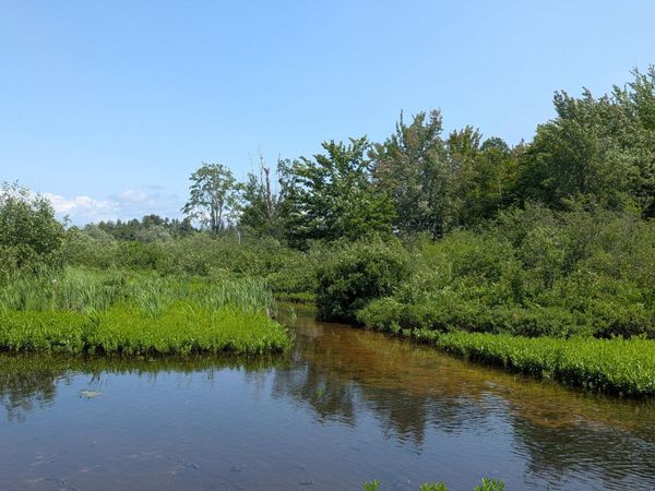 Lot 40 S River Run, Trout Lake, MI 49793