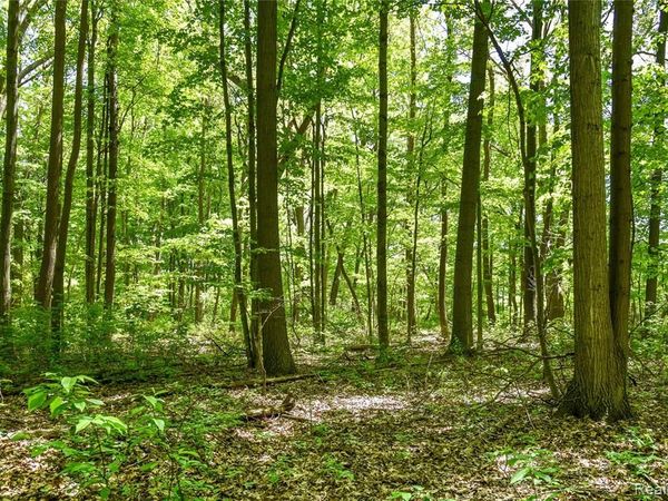 2905 N Lake Pleasant Road, Arcadia Twp, MI 48412