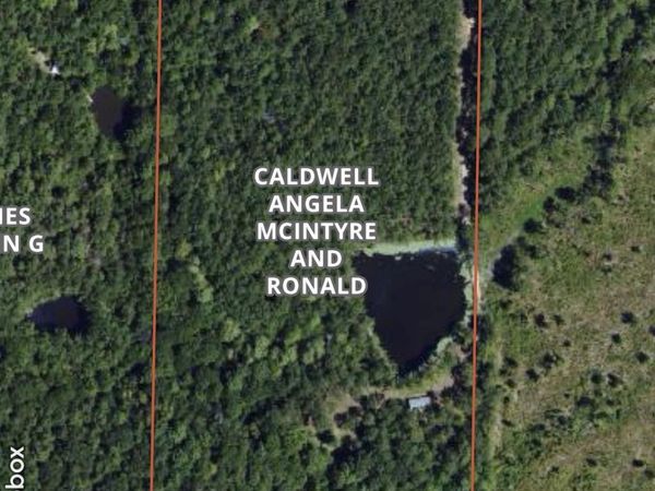 261 Tom Chance Road, Poplarville, MS 39470