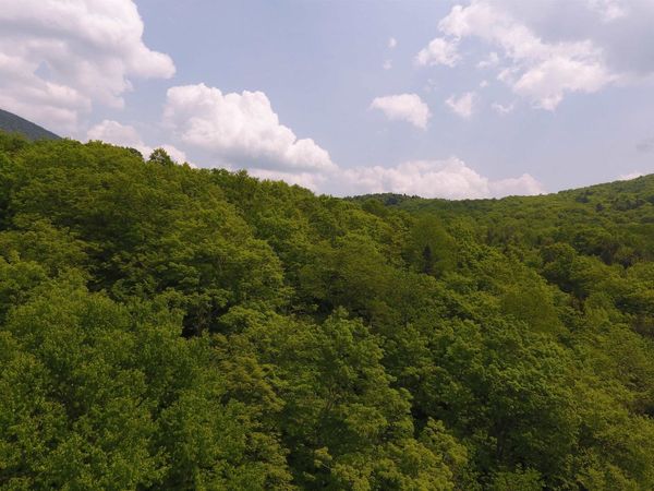 Bennett Road, Kirby, VT 05832