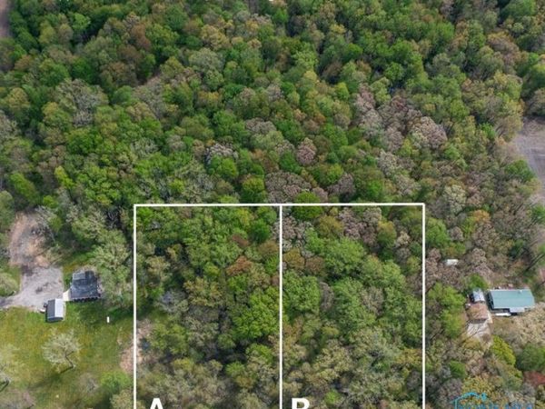 0 Manore Lot B Road, Grand Rapids, OH 43522