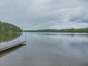 53549 Little Bear Trail, Bigfork, MN 56657