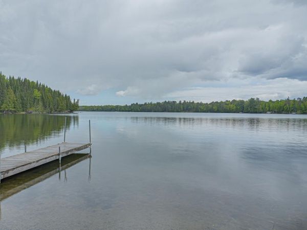 53549 Little Bear Trail, Bigfork, MN 56657
