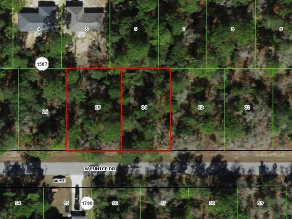 3059 W Eunice Drive, Citrus Springs, FL 34433