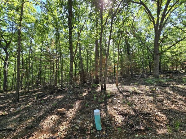 Lot 6 Block 12 Tall Oaks , Pittsburg, MO 65724