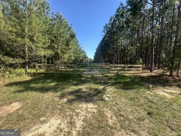 0 Dorsey Clark Road, Sylvania, GA 30467